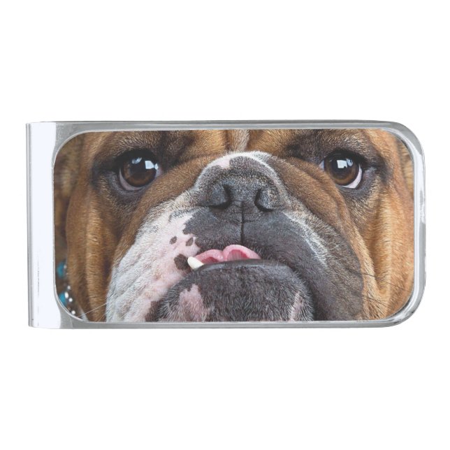 English Bulldog  Throw Pillow Silver Finish Money Clip (Front)