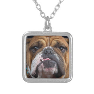 English Bulldog Throw Pillow Silver Plated Necklace