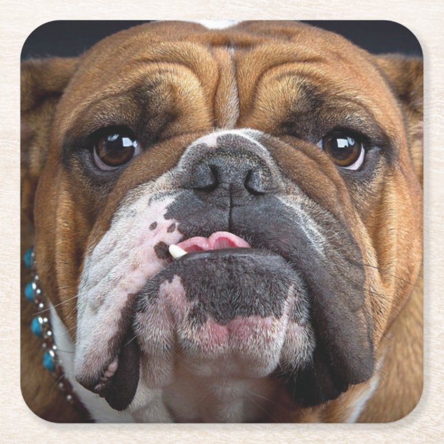 English Bulldog  Throw Pillow Square Paper Coaster (Front)
