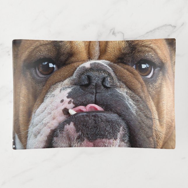English Bulldog  Throw Pillow Trinket Tray (Front)
