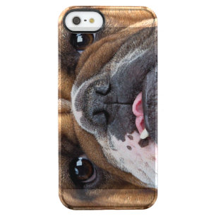English Bulldog Throw Pillow Clear iPhone SE/5/5s Case