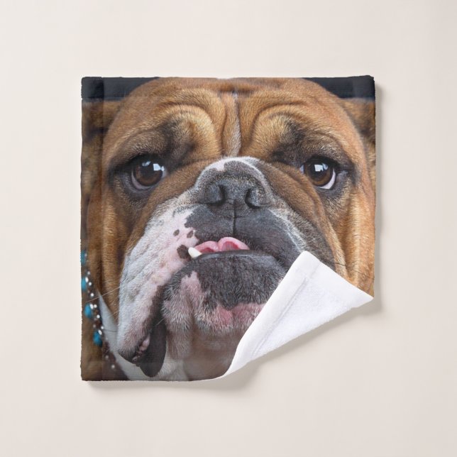 English Bulldog  Throw Pillow Wash Cloth (Wash Cloth)