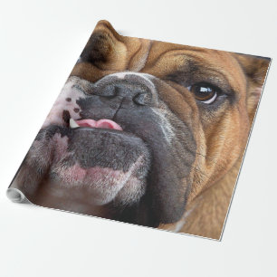 English Bulldog Throw Pillow Wrapping Paper