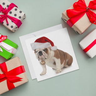 English Bulldog Wearing Santa Hat Holiday Card