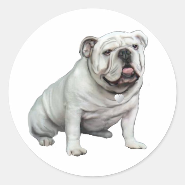 English Bulldog - White 1 Classic Round Sticker (Front)