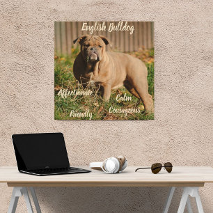 English Bulldog  Wood Wall Art