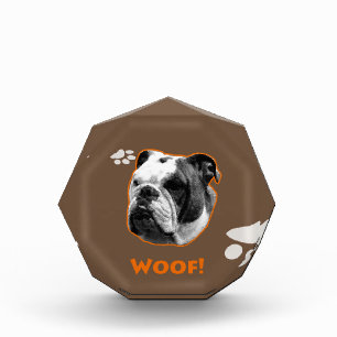 English Bulldog Woof Acrylic Award