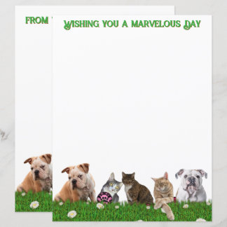English Bulldogs and Cats Stationery