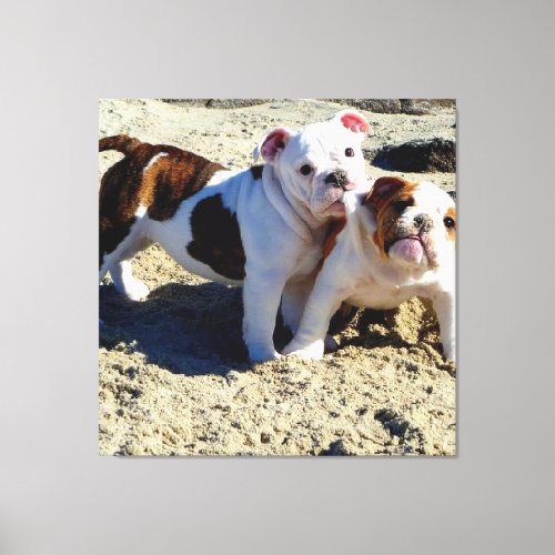 English Bulldogs Puppy Love Wrapped Canvas