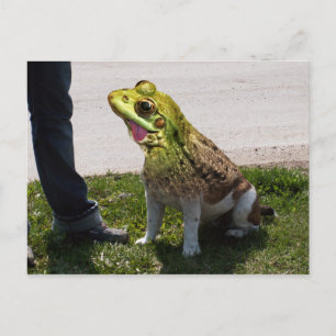 English bullfrog postcard