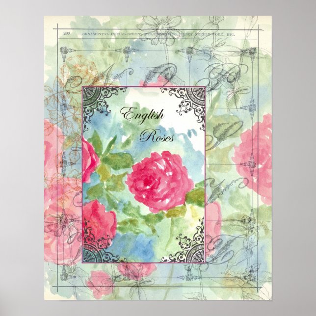 English Cabbage Roses Collage Watercolor Flowers Poster (Front)