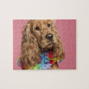 English Cocker Spaniel (10 months old) Jigsaw Puzzle