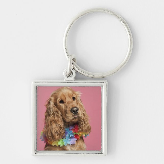English Cocker Spaniel (10 months old) Keychain (Front)