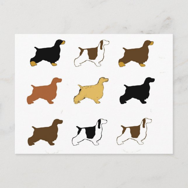 English Cocker Spaniel all colors silos Postcard (Front)