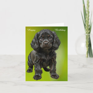 English Cocker Spaniel Card