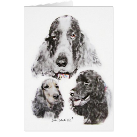 English Cocker Spaniel Cards (Front)