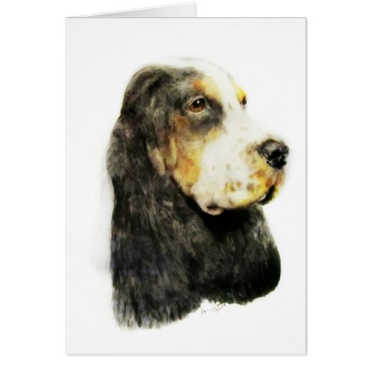 English Cocker Spaniel Cards (Front)