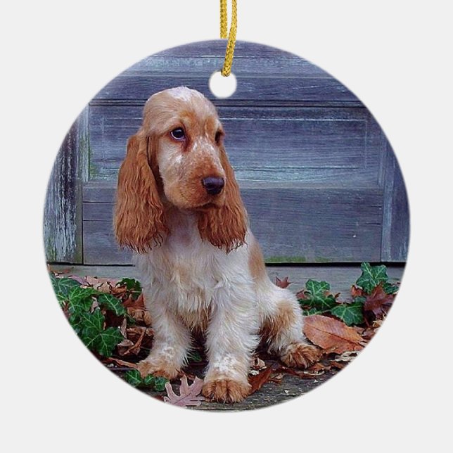 English Cocker Spaniel Ceramic Ornament (Front)