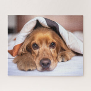 English Cocker Spaniel Dog Jigsaw Puzzle