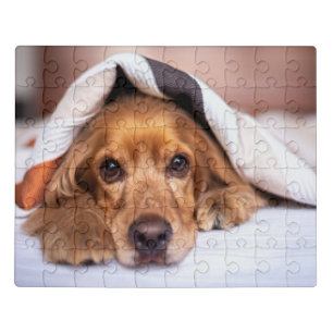 English Cocker Spaniel Dog Jigsaw Puzzle