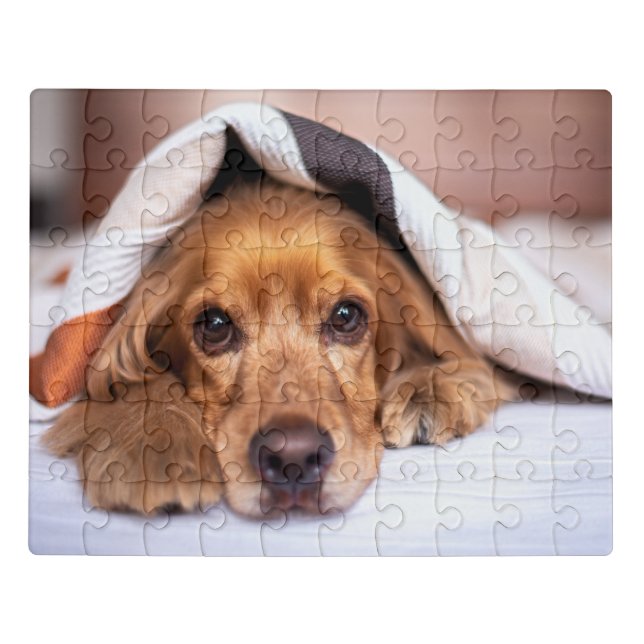 English Cocker Spaniel Dog Jigsaw Puzzle (Puzzle Horizontal)