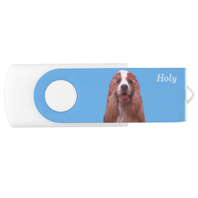 English Cocker Spaniel Dog on Blue Flash Drive (Front)