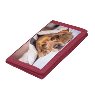English cocker spaniel, Dog, Puppy Tri-fold Wallet