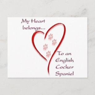 English Cocker Spaniel Heart Belongs Postcard