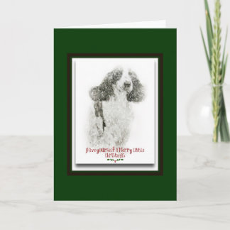 English Cocker Spaniel Holiday Card