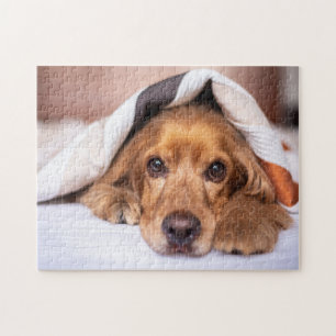 English Cocker Spaniel Jigsaw Puzzle