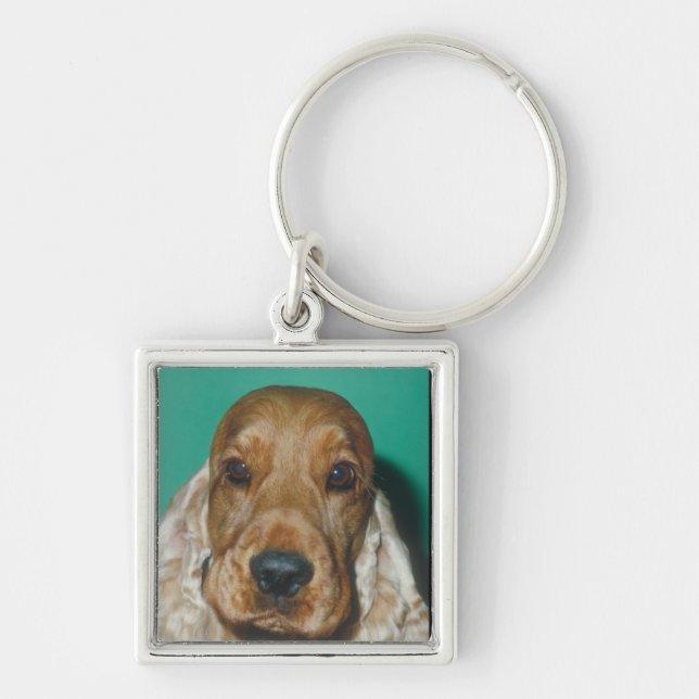 English Cocker Spaniel Keychain (Front)