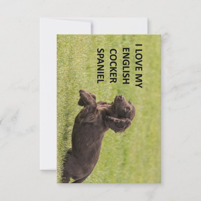 english cocker spaniel love with picture thank you card (Front)