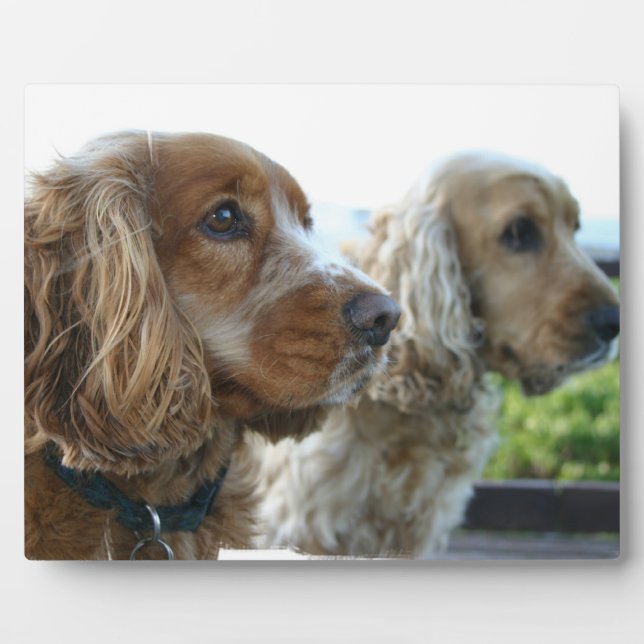 English Cocker Spaniel Plaque (Front)