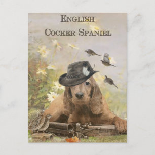 English Cocker Spaniel Postcard