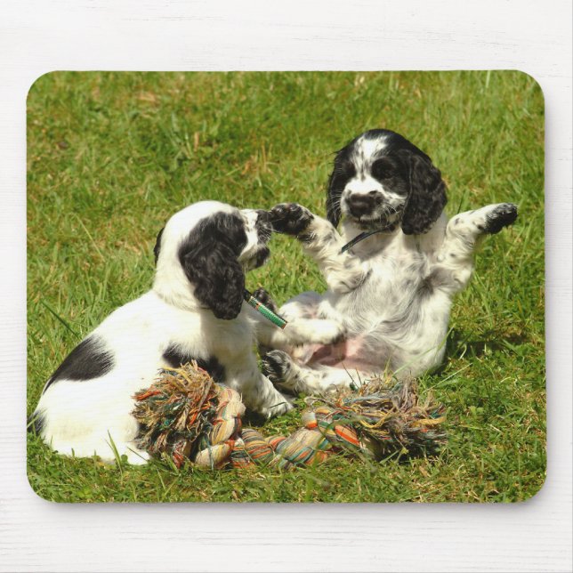 English Cocker Spaniel Puppies Mousepad (Front)
