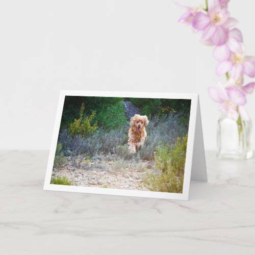 English Cocker Spaniel Running in Country Card