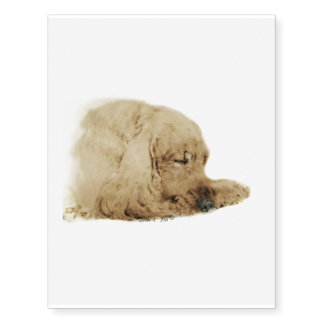 English Cocker Spaniel Temporary Tattoos