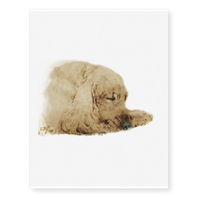 English Cocker Spaniel Temporary Tattoos (Front)