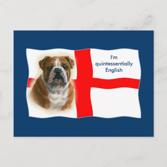 English flag and bulldog Postcard (Front)