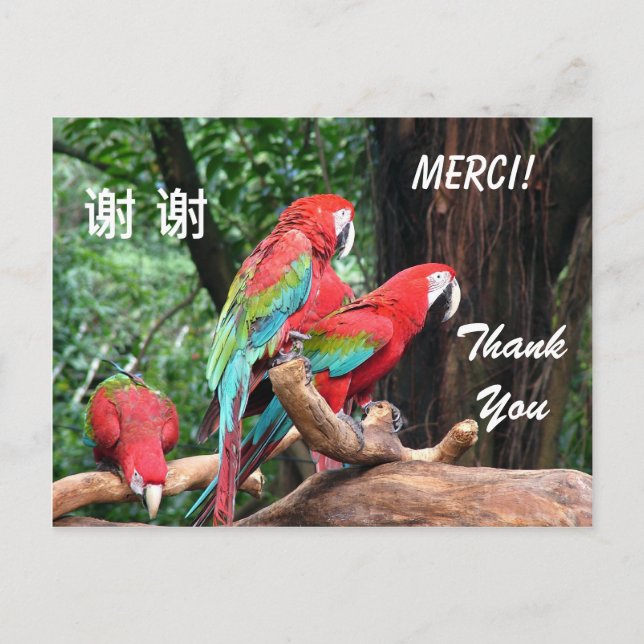 English/French/Chinese thank you card (Front)