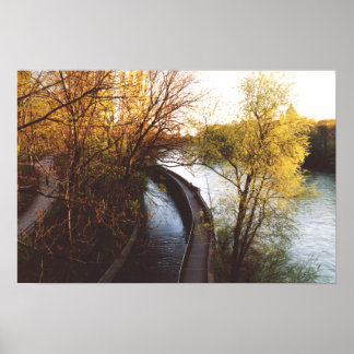 English garden, Munich, Germany Poster