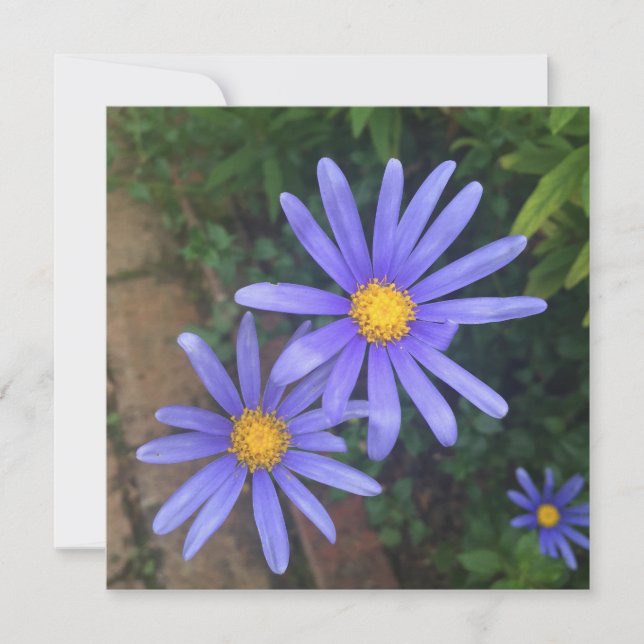 English Garden Note Card (Front)