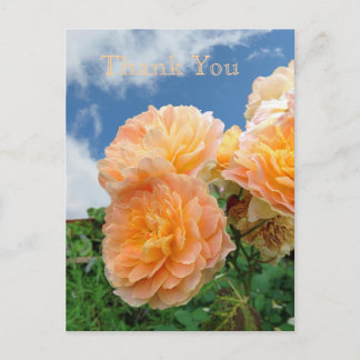 English Garden Postcard