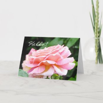 English Garden Tea Rose Greeting Card by Koobear at Zazzle