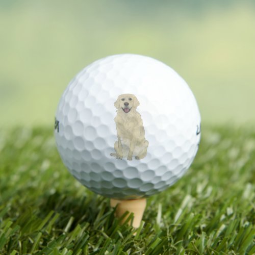 English Golden Retriever Dog  Golf Balls