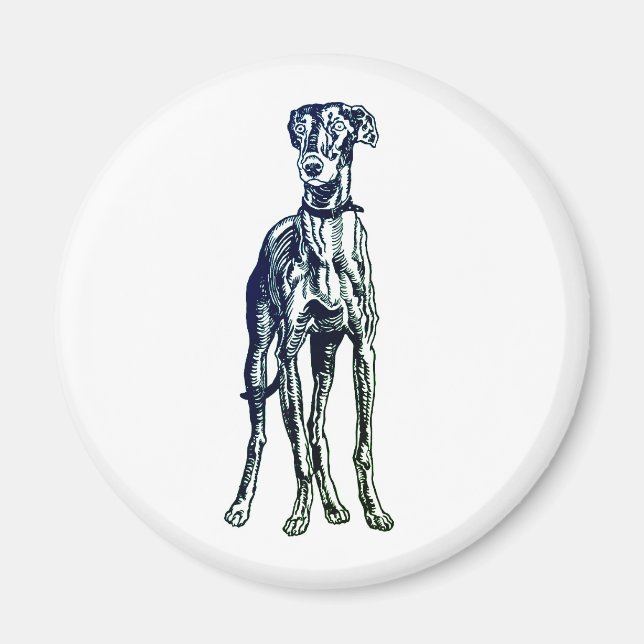 English Greyhound Breed Magnet (Front)