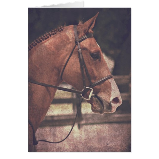 English Horse Cards (Front)
