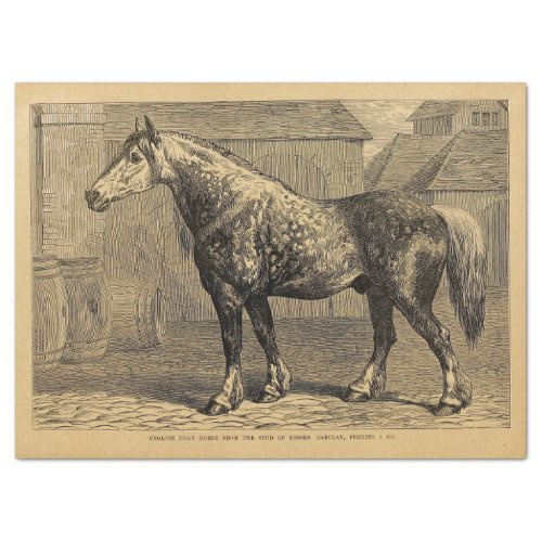 English Horse Ephemera Decoupage Vintage  Tissue Paper