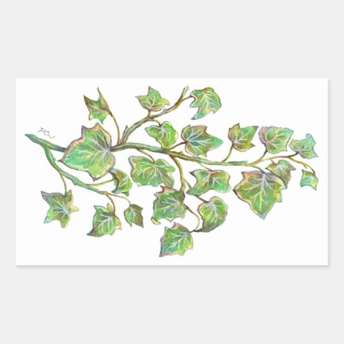 English Ivy Rectangular Sticker