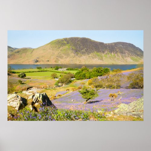 English Lake District Bluebells Poster